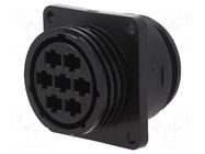 connector 23-7 RECEPT REV SEX TE Connectivity