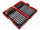Kit: screwdriver bits; hex key,Phillips,Pozidriv®,slot,Torx® FELO