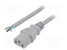 Cable; 3x1mm2; IEC C13 female,wires; PVC; 3m; grey; 10A; 250V LIAN DUNG