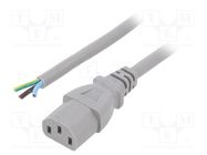Cable; 3x1mm2; IEC C13 female,wires; PVC; 1m; grey; 10A; 250V LIAN DUNG