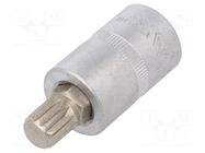 Socket; socket spanner,spline (12-angles); Size: XZN M12; 1/2" YATO