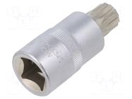 Socket; socket spanner,spline (12-angles); Size: XZN M14; 1/2" YATO