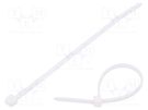 Cable tie; L: 100mm; W: 2.45mm; polyamide; 80N; white; Ømax: 22mm HELLERMANNTYTON
