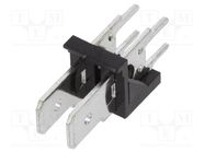 Terminal: spade terminal strip; 6.3mm; THT; 250V; straight; ways: 2 