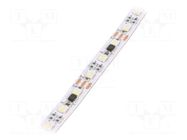 Programmable LED tape; RGBW; 5050; LED/m: 60; 12mm; white PCB; IP20 IPIXEL LED