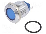 Indicator: LED; flat; blue; 24VDC; 24VAC; Ø19mm; connectors; brass NINIGI
