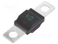Fuse: fuse; 40A; 32VDC; automotive; 41mm; M5 screw; MIDI; copper LITTELFUSE