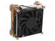 Fan: DC; axial; 12VDC; 70x70x10.6mm; 35dBA; ball; 3500rpm 