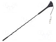 Antenna; car top; 0.4m; AM,FM; universal; 1.8m; 12VDC CALEARO