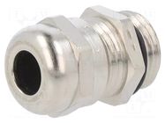 Cable gland; with earthing; PG9; IP68; brass; HSK-M-EMC-Ex HUMMEL