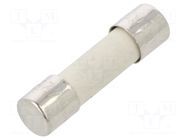 Fuse: fuse; 10A; 250VAC; medium time-lag; ceramic,cylindrical SCHURTER