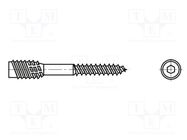 Screw; for wood; 4.5x60; Head: without head; hex key; HEX 4mm; zinc BOSSARD