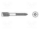 Screw; for wood; 6x100; Head: without head; Torx®; TX25; steel; zinc BOSSARD