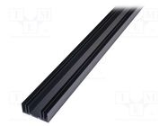 Heatsink: extruded; grilled; black; L: 1000mm; W: 65mm; H: 26.8mm SEIFERT ELECTRONIC