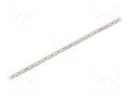 LED tape; white cold; 5050; LED/m: 60; 10mm; white PCB; IP64; 120° IPIXEL LED