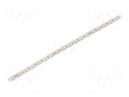 LED tape; white warm; 5050; LED/m: 60; 10mm; white PCB; IP64; 120° IPIXEL LED