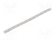 LED tape; white cold; 2835; 12V; LED/m: 120; 10mm; white PCB; IP65 