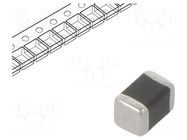 Varistor: multilayer; SMD; 0805; 14VAC; 18VDC; 0.3J; 120A; 40V; 3mW EPCOS / TDK