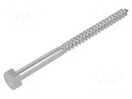 Screw; for wood; 10x150; Head: hexagonal; none; 17mm; DIN 571 BOSSARD