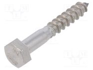 Screw; for wood; 8x50; Head: hexagonal; none; 13mm; DIN 571; BN 704 BOSSARD