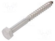 Screw; for wood; 6x60; Head: hexagonal; none; 10mm; Head height: 4mm BOSSARD