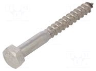 Screw; for wood; 12x100; Head: hexagonal; none; 19mm; DIN 571 BOSSARD