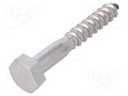 Screw; for wood; 10x70; Head: hexagonal; none; 17mm; DIN 571; BN 704 BOSSARD