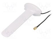 Antenna; 5G,LTE; 6dBi; magnet; 50Ω; 680÷4900MHz; -40÷85°C; 2m SR PASSIVES