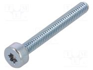 Screw; M2x12; Head: cheese head; Torx®; TX06; steel; zinc; ISO 14579 BOSSARD