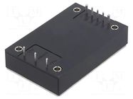 Converter: DC/DC; 100W; Uin: 9÷36VDC; Uout: 15VDC; Iout: 6.7A; THT XP POWER