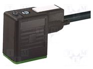 Connection lead; plug; Type: B; PIN: 3; Contacts ph: 10mm; female MURRELEKTRONIK
