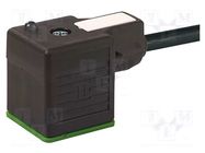 Connection lead; plug; Type: A; PIN: 4; Contacts ph: 18mm; female MURRELEKTRONIK