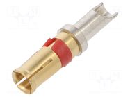 Contact; female; gold-plated; 12AWG; 20A AMPHENOL COMMUNICATIONS SOLUTIONS
