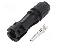Connector: solar; plug; male; IP67; for cable; crimped; 35A; 4÷6mm2 CABUR