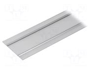Cover; silver; 2m; aluminium; for profiles; WALLE12 TOPMET
