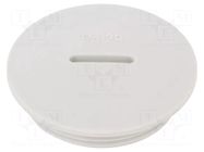 Stopper; PG29; IP54; polyamide; grey; V-N-FS; Thread: PG; 8mm HUMMEL