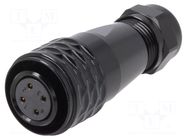 Connector: circular; plug; female; PIN: 4; IP67; SA16; 5÷8mm; 5A; 500V WEIPU