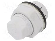 Stopper; IP68; polyamide; light grey; SKINTOP®; 25.3mm; push-in LAPP