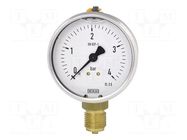 Manometer; 0÷250bar; Class: 2.5; 100mm; -20÷60°C; IP65; steel WIKA
