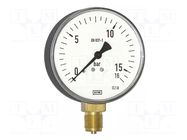 Manometer; 0÷10bar; Class: 1.6; 160mm; Temp: -40÷60°C; IP54; steel WIKA