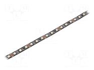 Programmable LED tape; RGBW; 5050; LED/m: 60; 12mm; black PCB; IP20 IPIXEL LED