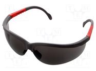 Safety spectacles; Lens: gray; Features: regulated LAHTI PRO