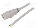 Cable; 3x0.75mm2; IEC C13 female,wires; PVC; 1m; grey; 10A; 250V LIAN DUNG