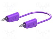 Test lead; 60VDC; 30VAC; 19A; banana plug 4mm,both sides; violet STÄUBLI