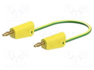 Test lead; 60VDC; 30VAC; 19A; banana plug 4mm,both sides; yellow STÄUBLI