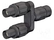 Adapter BNC; black; push-in; Type: insulated STÄUBLI