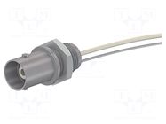 Connector: BNC; socket; grey; on panel,screw type; Type: insulated STÄUBLI