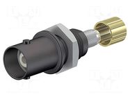 Connector: BNC; socket; black; on panel,screw,crimped STÄUBLI