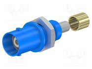 Connector: BNC; socket; blue; Connection: screwed,crimped; 5÷40°C STÄUBLI