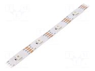 Programmable LED tape; RGB; 5050; LED/m: 30; 10mm; white PCB; IP20 IPIXEL LED
